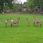 Im Gartenparadies * Eurasburg