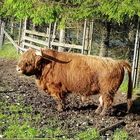 Im Gartenparadies *