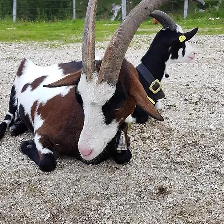 Im Gartenparadies *