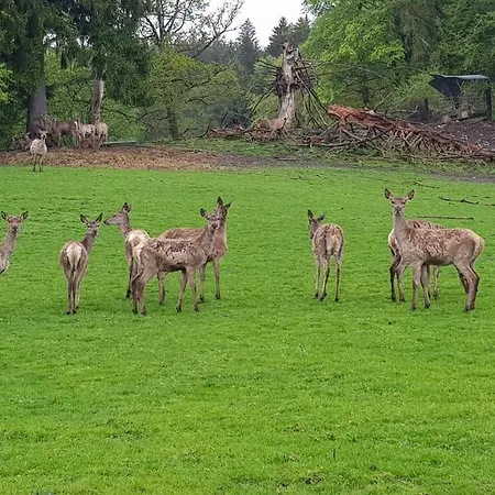 Im Gartenparadies * Eurasburg