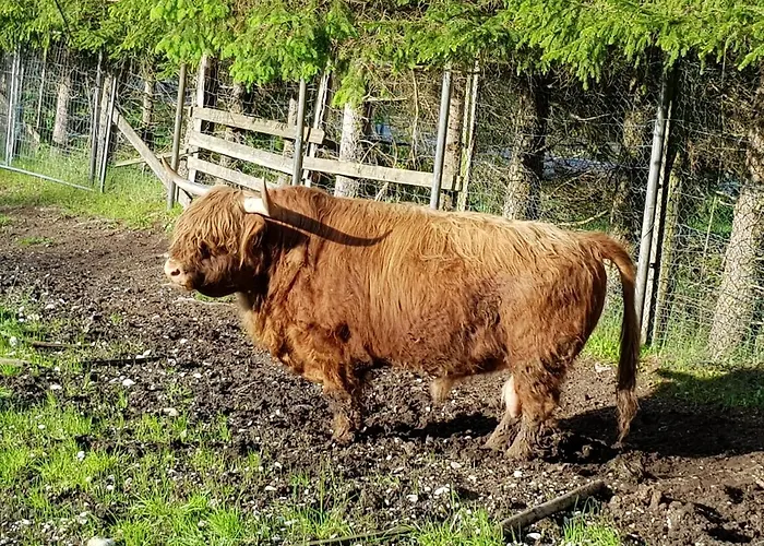 Im Gartenparadies *