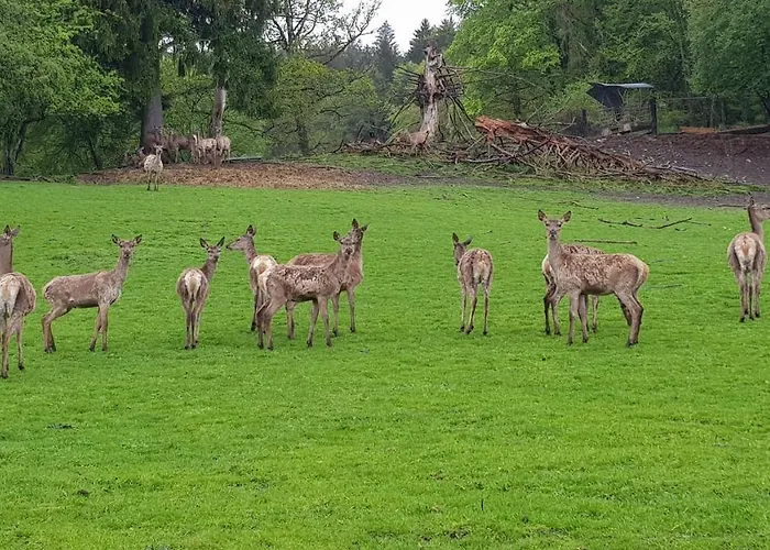 Im Gartenparadies * Eurasburg