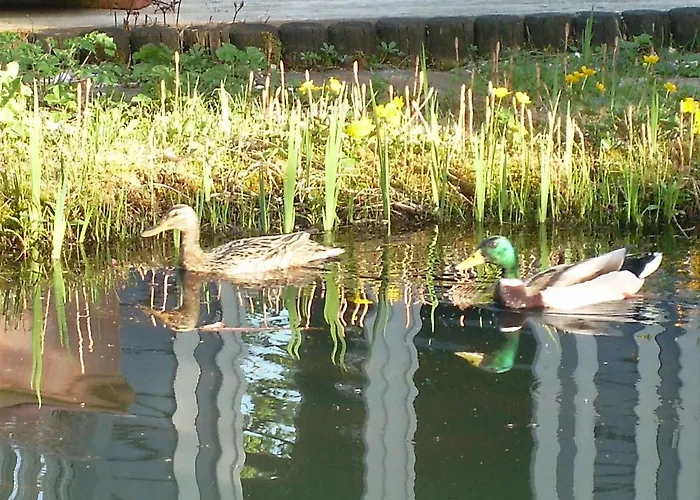 Im Gartenparadies Eurasburg